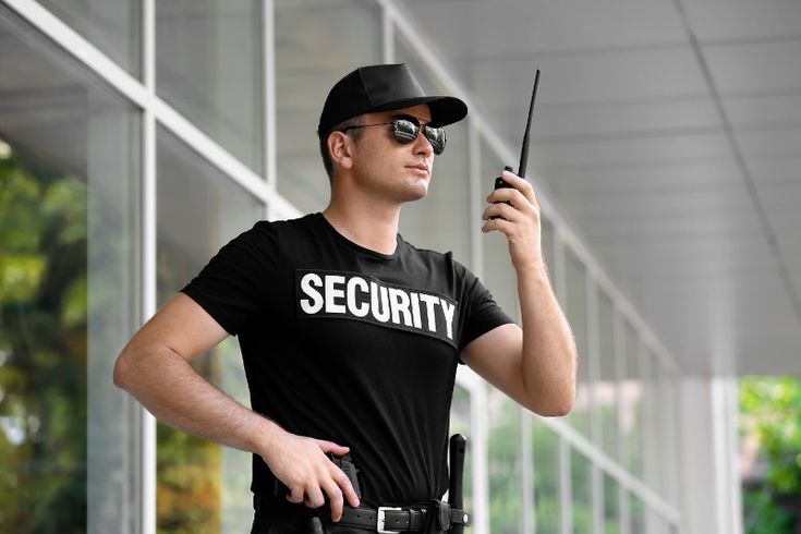 Blue Life Security: Safeguarding a Digital Tomorrow