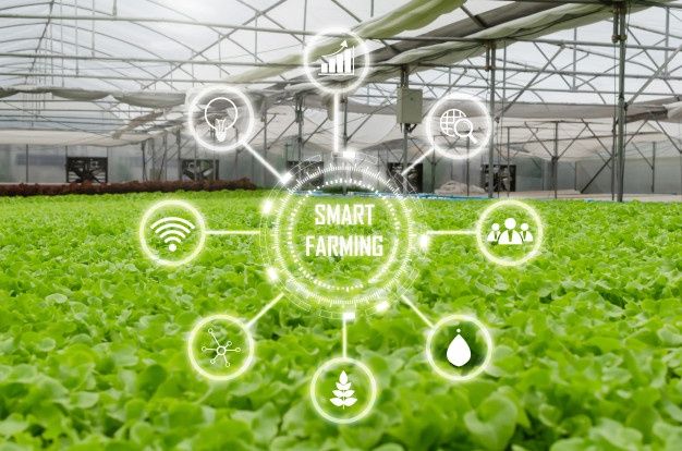 AgriPulse Network: Explore Farming Essentials in One Destination