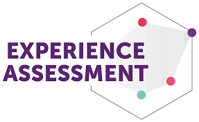 The UX Assessment That Stopped a Customer Exodus