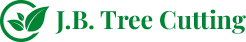 Spotting the Warning Signs: When to Seek Professional Tree Cutting Services in Galway and Beyond