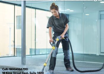 Professional Carpet Cleaning: The Foundation for a Visually Stunning Home